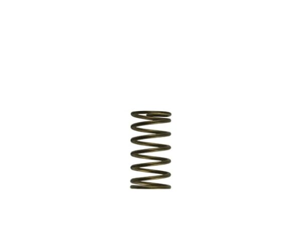 Turbosmart WG60 Gen-V 3psi Inner Spring (TS-0550-3089)