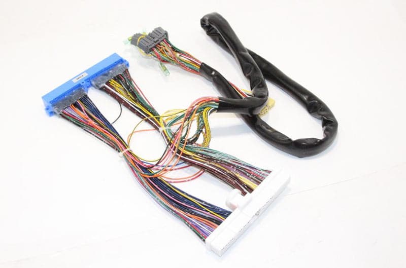 HKS NP5-2F-CON V Harness for 93-98 Nissan Skyline R32, R33 (hks4202-RN016)